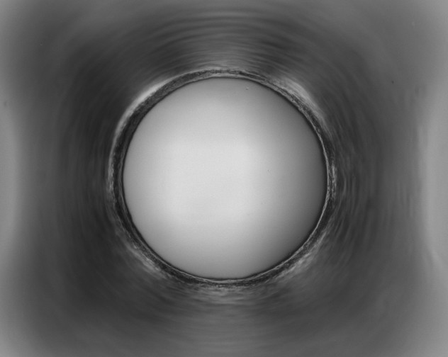 X0000087360780200704200825
