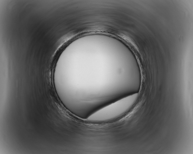 X0000087360781200704200825