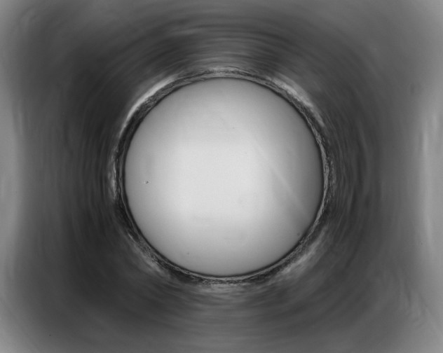 X0000087360782200704200825