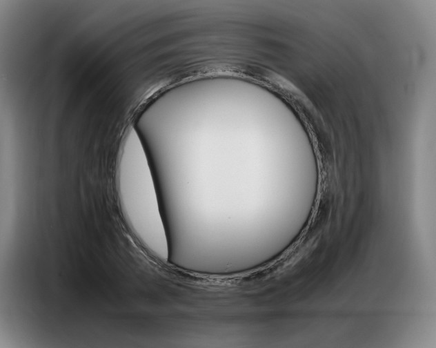 X0000087360785200704200825