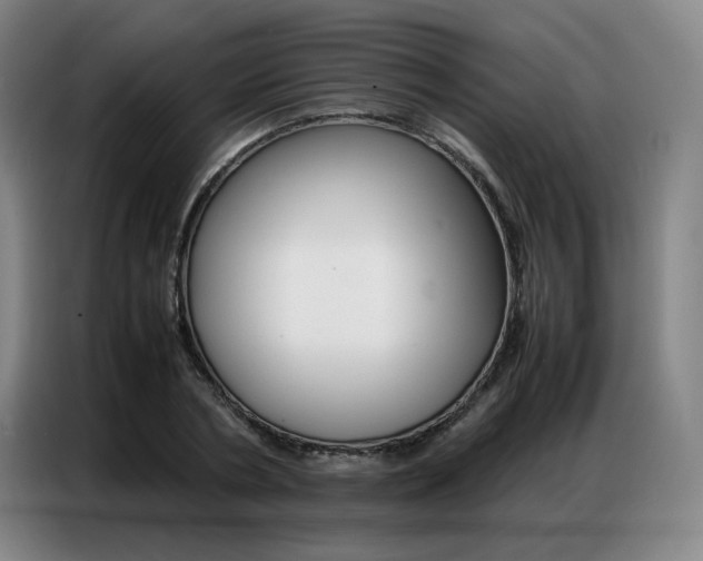 X0000087360786200704200825