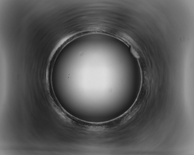 X0000087360788200704200825