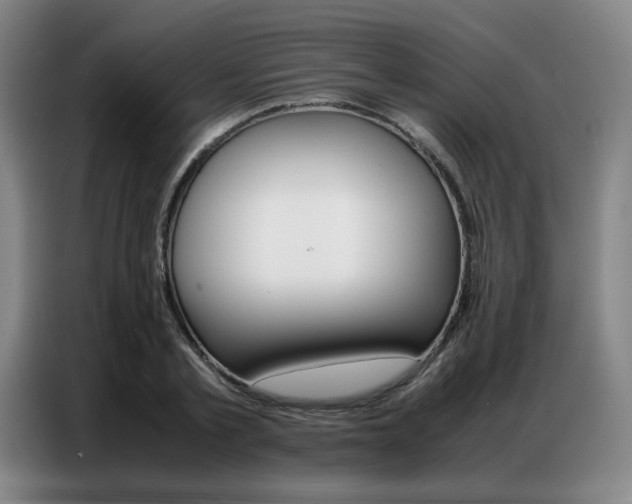 X0000087360789200704200825