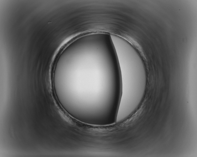 X0000087360792200704200825