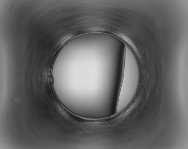 X0000087360793200704200825