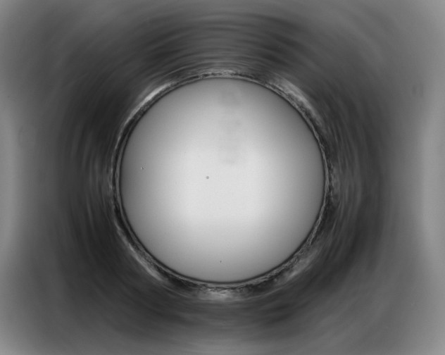 X0000087360794200704200825