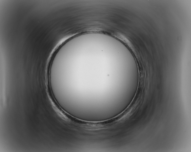 X0000087360795200704200824