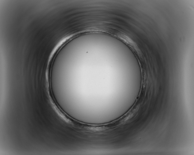 X0000087360796200704200824