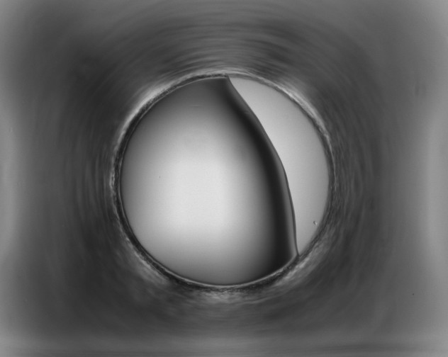 X0000087360797200704200824