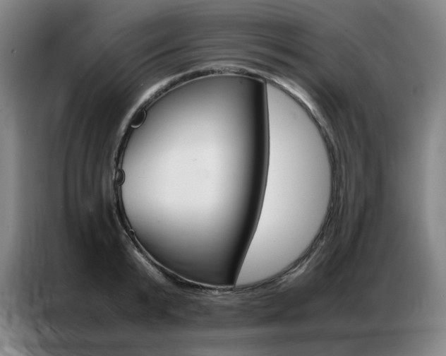 X0000087360799200704200824