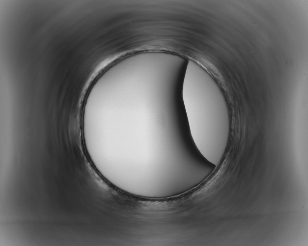 X0000087360800200704200824