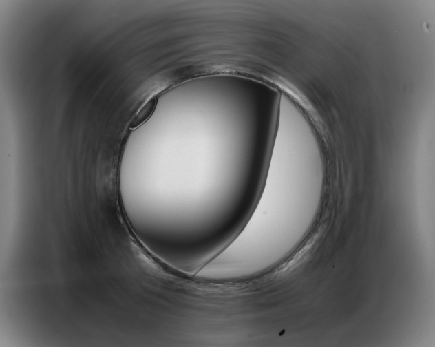 X0000087360801200704200824