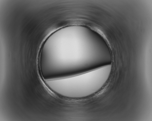 X0000087360803200704200824