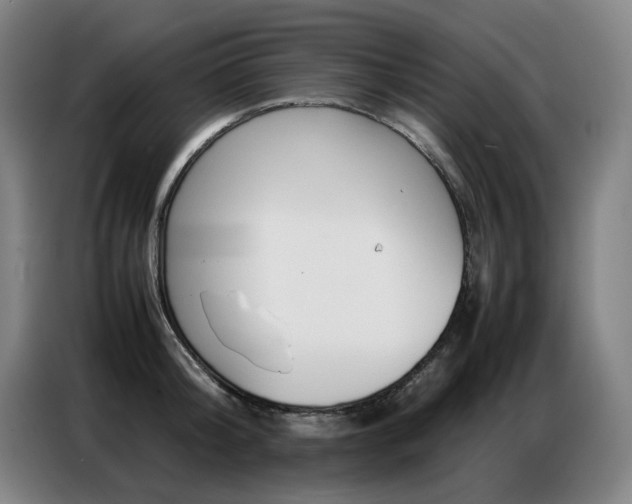 X0000087360804200704200824