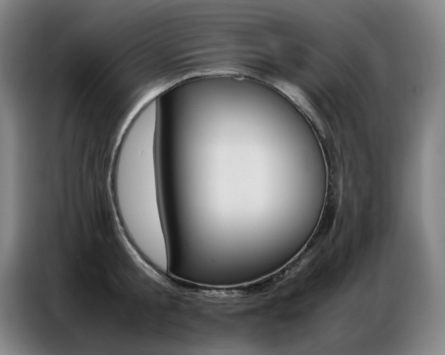 X0000087360805200704200824