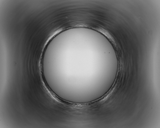 X0000087360806200704200824