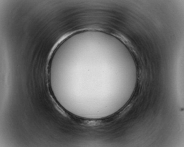X0000087360808200704200824