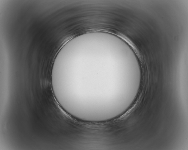 X0000087360809200704200824