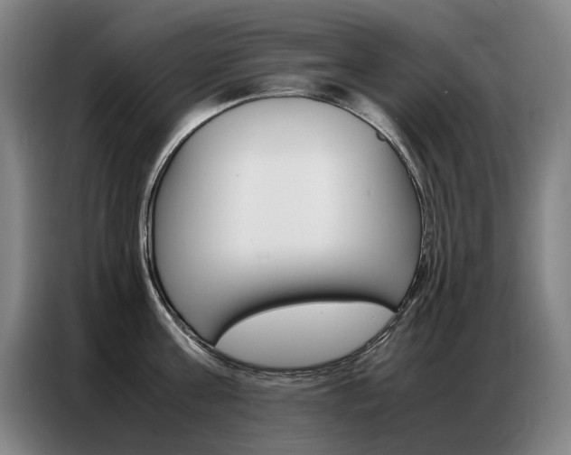 X0000087360811200704200824