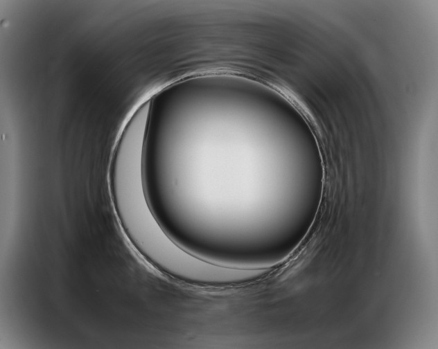 X0000087360813200704200824