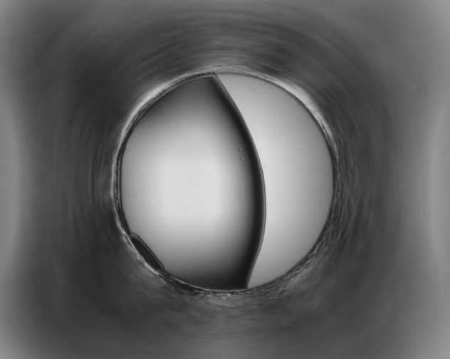 X0000087360815200704200824