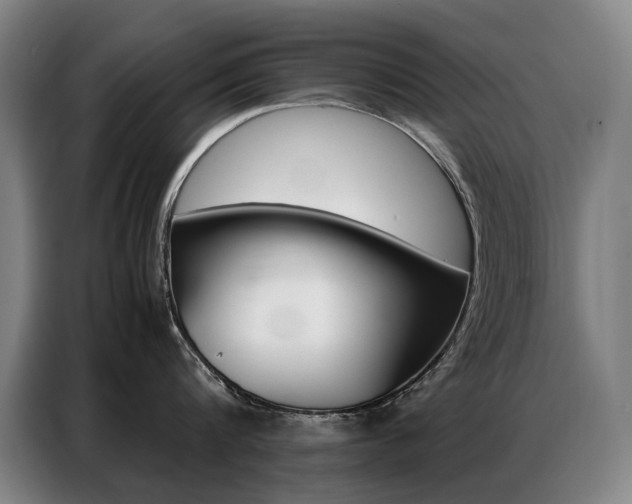 X0000087360816200704200824