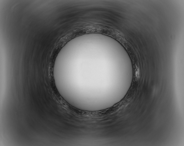 X0000087360819200704200824