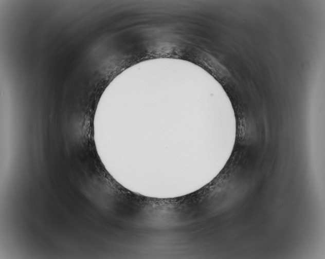 X0000087360820200704200824