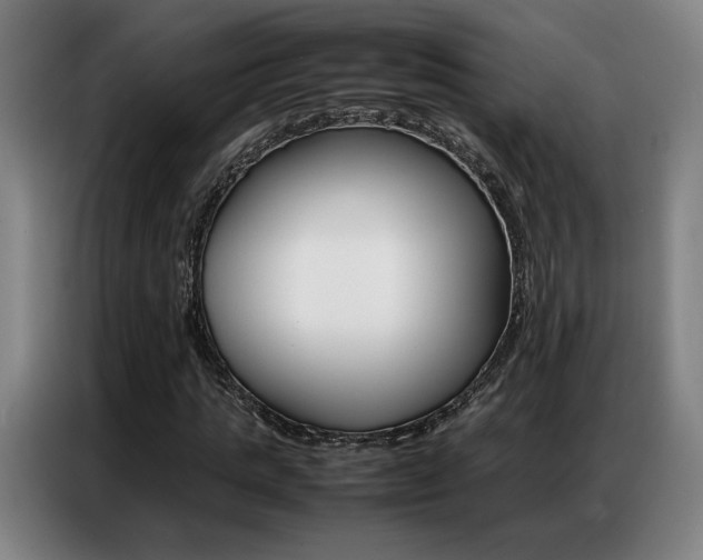 X0000087360821200704200824