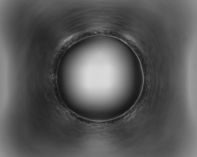 X0000087360822200704200824