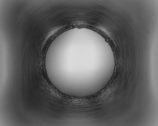 X0000087360823200704200824