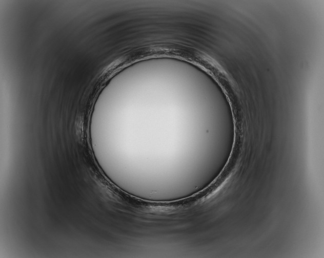 X0000087360825200704200824