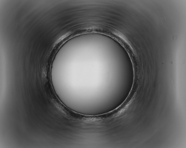 X0000087360826200704200824