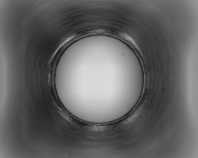 X0000087360827200704200824