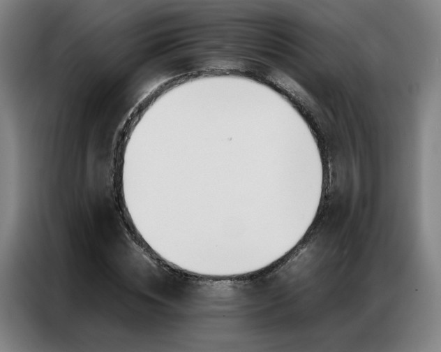 X0000087360828200704200824