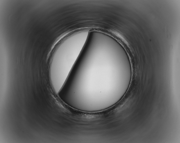 X0000087360829200704200824