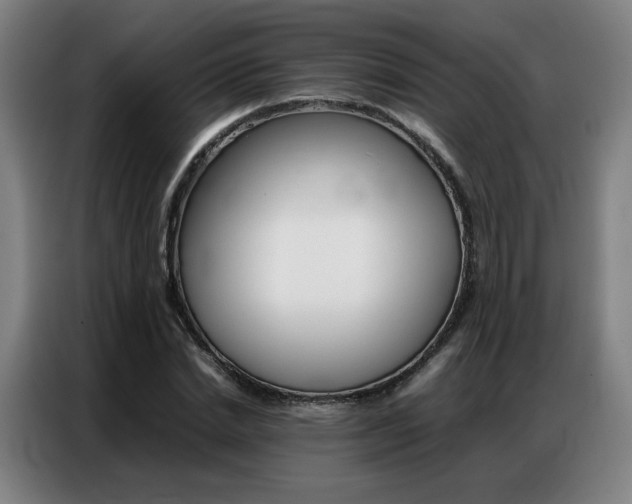 X0000087360830200704200824