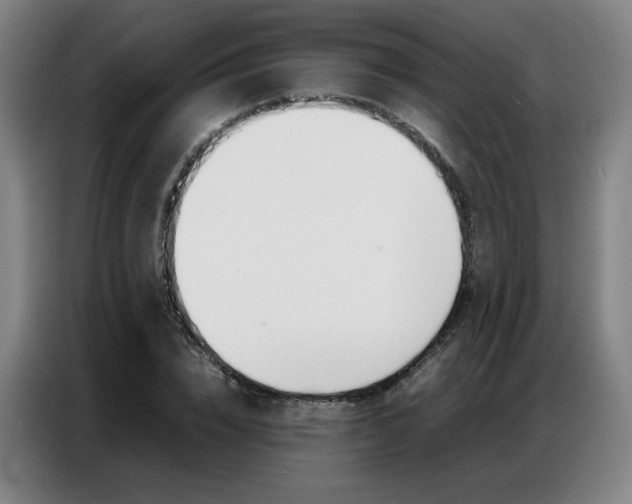 X0000087360832200704200824