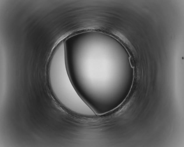 X0000087360834200704200824