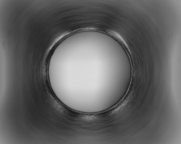 X0000087360835200704200824