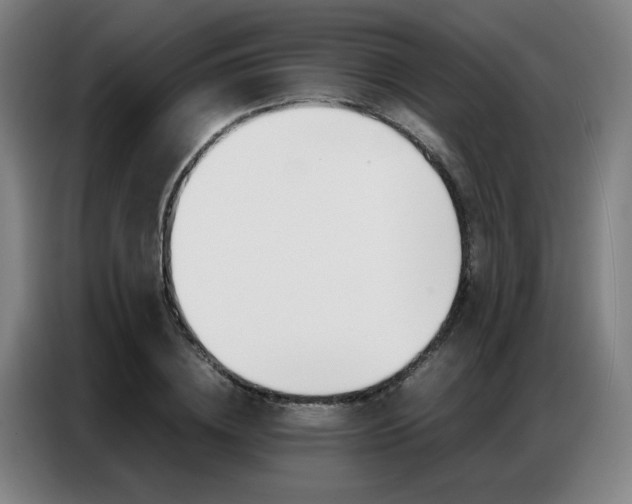 X0000087360836200704200824
