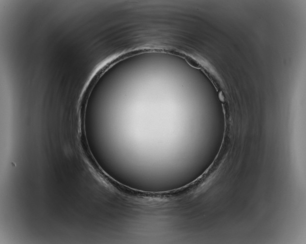 X0000087360838200704200824