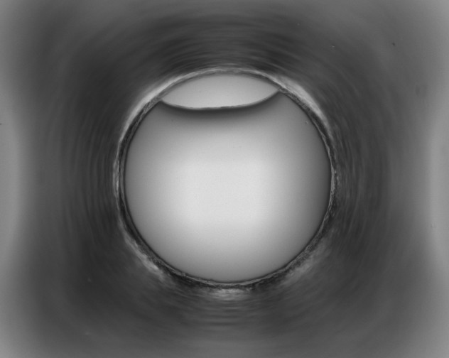 X0000087360839200704200824