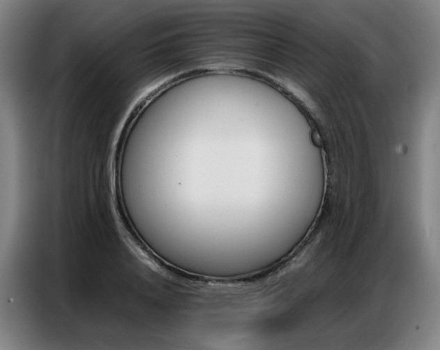 X0000087360840200704200824