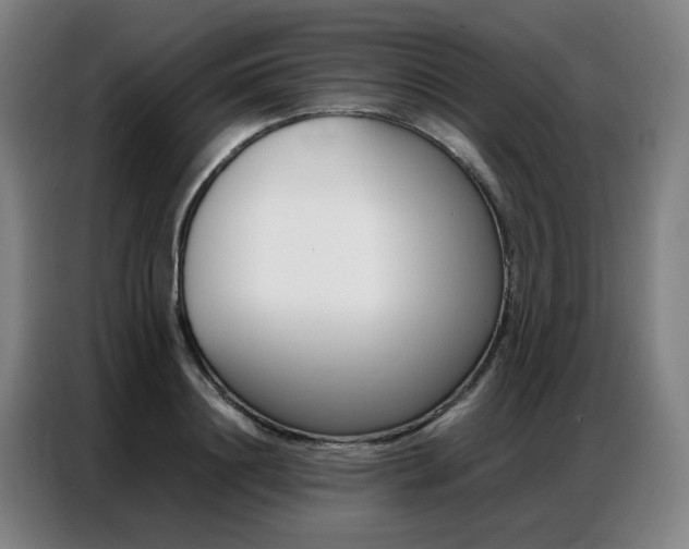 X0000087360844200704200824