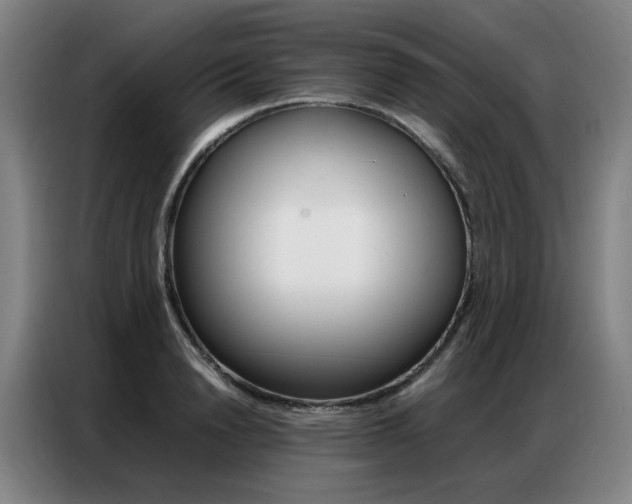 X0000087360846200704200824