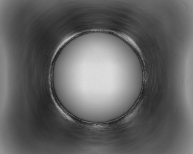 X0000087360847200704200824
