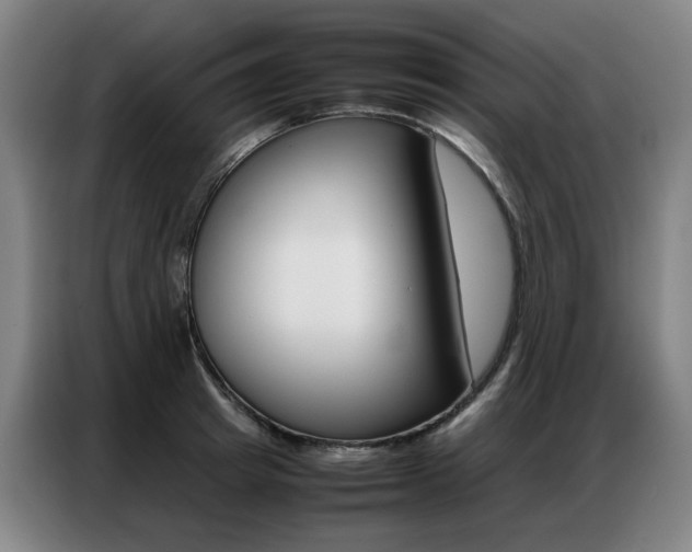 X0000087360849200704200824
