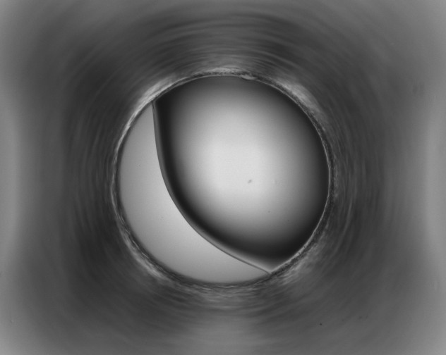 X0000087360850200704200824
