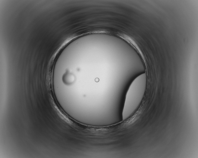 X0000087360851200704200824